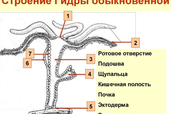 Блэкспрут ссылка тор blacksprut wiki