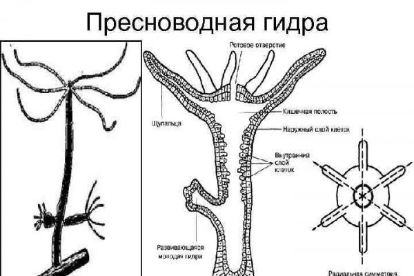 Тор blacksprut sait bsbotnet