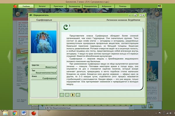 Black sprut официальный bs2web10 me